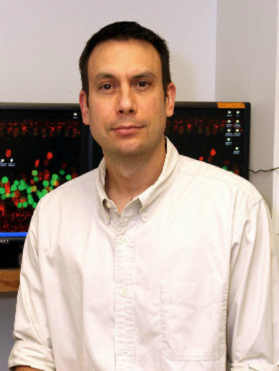 Andy Fischer, Ph.D.