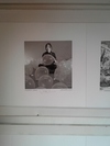 Picture for yang.2158 Picture for yang.2158
